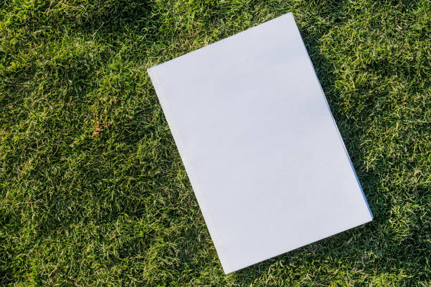 istock Mockup magazine on green grass background 2160863172