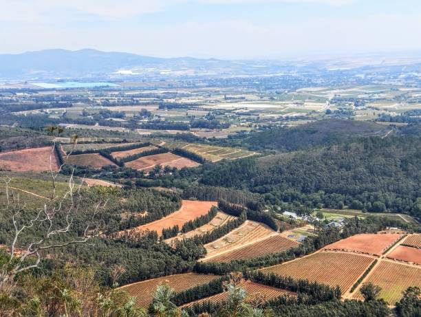 istock A beautiful view over the Cape Winelands 2160863284