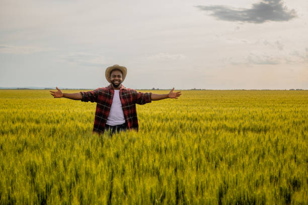Young happy farmer with arms outstretched is standing  in his growing wheat field.