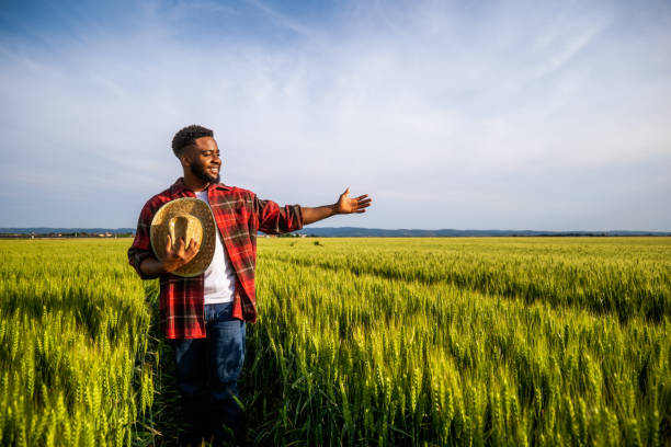 istock Farmer showing his growing wheat field 2160865166