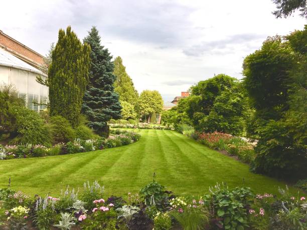 istock Green botanical garden 2160871120