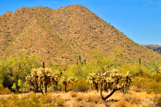 istock San Tan Mountains Sonora Desert Arizona 2160871321