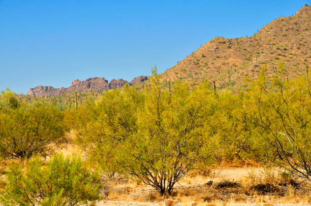 istock San Tan Mountains Sonora Desert Arizona 2160871336