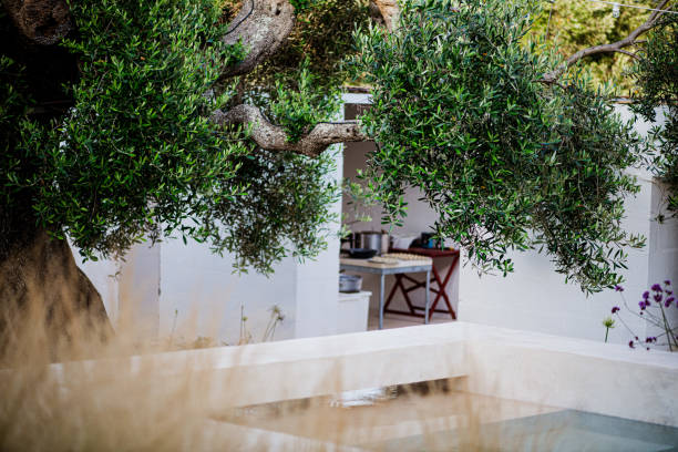 istock Private Party Catering in Puglia, Italy 2160875012