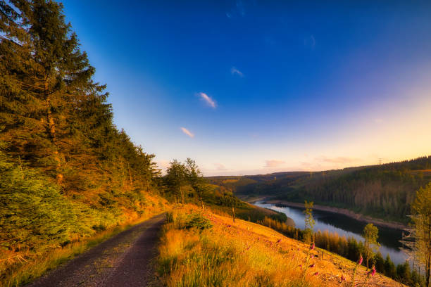Sunset on the Rennsteig in the Thuringian Forest