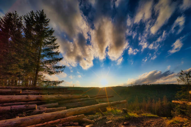 istock Sunset on the Rennsteig in the Thuringian Forest 2160882728