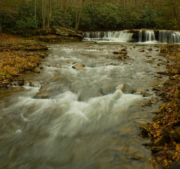 Closeup of shallow rock stream with running water and waterfall in autumn with green leaf foliage, stones and smooth flowing creek