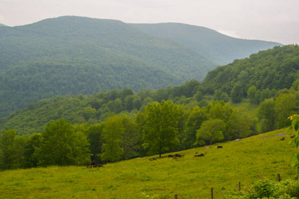 istock Rich Mountain, West Virginia 2160883010