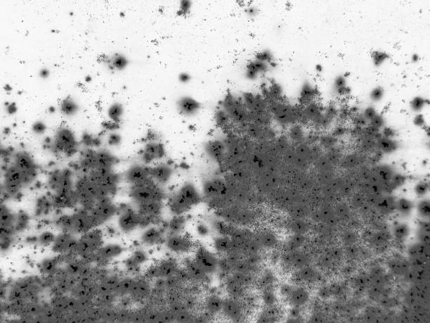 Black and white abstract background created by rust eating away at a sheet of metal