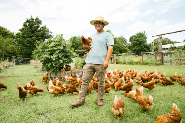 istock Farmer portrait holding a chicken 2160893663