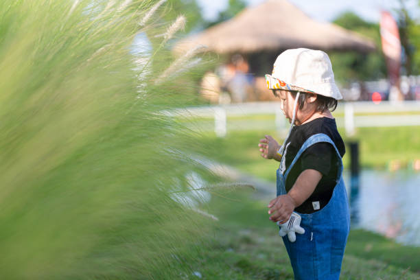 Toddler taking a walk in the green meadow,Toddler taking first steps in a park