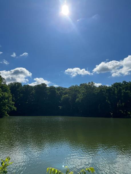 istock Lake with sun and blue ski with trees as background. 2160894210