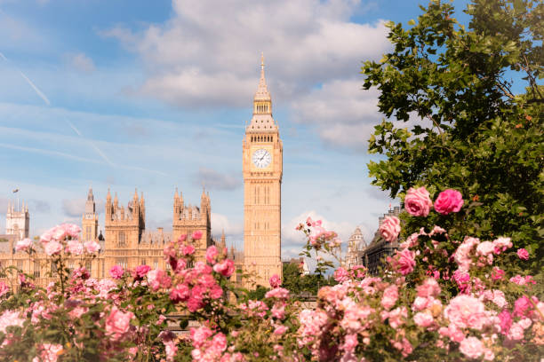 istock The Big Ben with Rose Garden 2160894390