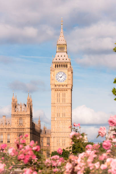 istock The Big Ben with Rose Garden 2160894392