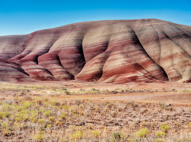 Colored Slopes Of The John Day Painted Hills