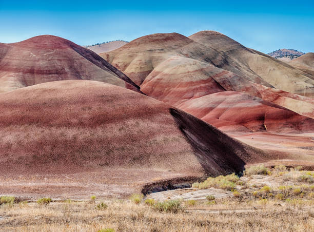istock Red Minerals Of The Painted Hills 2160903547