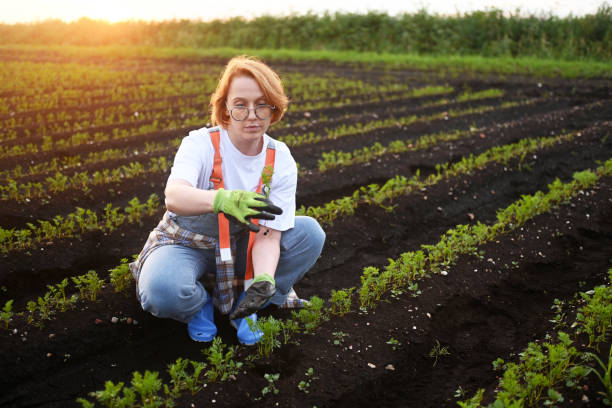 istock woman farmer holding soil with sprout in his hands 2160909703