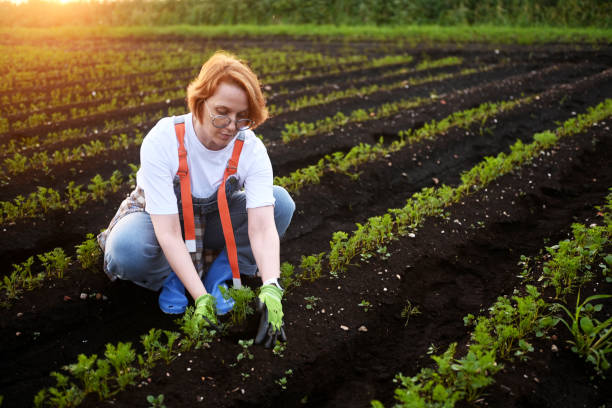 istock woman farmer holding soil with sprout in his hands 2160909830