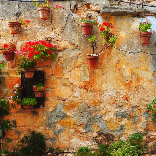 istock Colorful Flower Pots On Aged Stone Wall Square Frame 2160910094