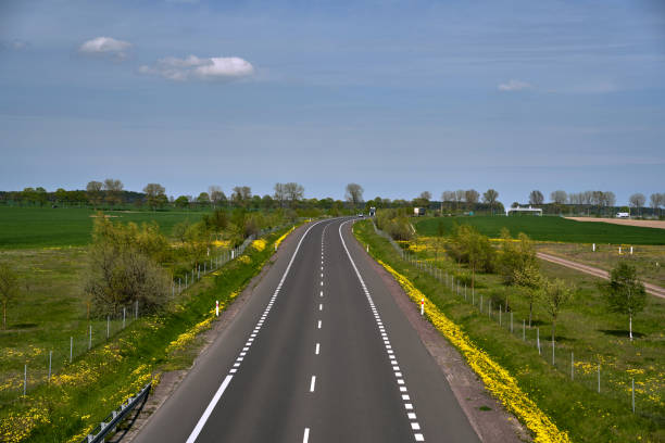 istock asphalt national road among fields and meadows with blooming flowers 2160911948