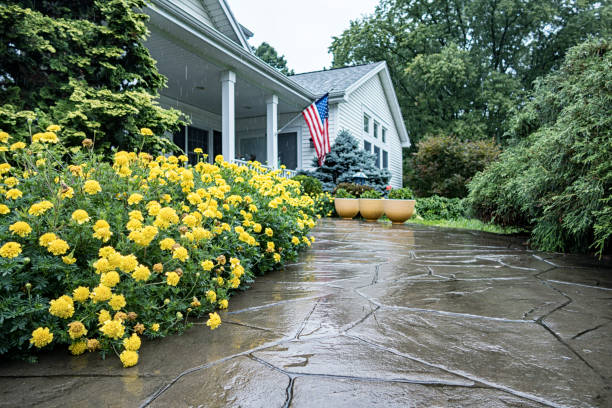 Yellow Marigold Flower Border on Rain Drenched Home Walkway