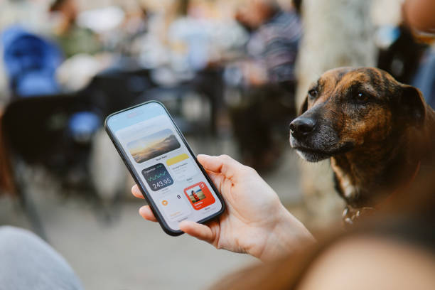 istock Female tourist  checking widgets and notifications on her smartphone 2160919223