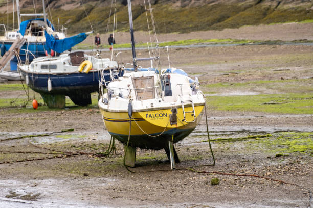 Mudflats and Thames Estuary at low tide at Two Tree Island, Essex