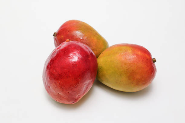 Mangoes isolated on a white background.