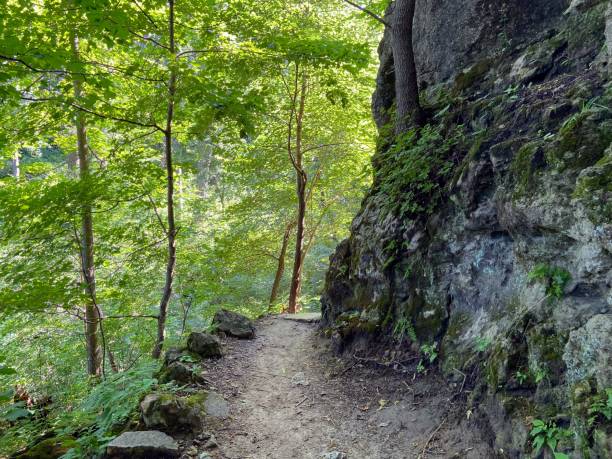 istock Palisades-Kepler State Park, Iowa 2160926374