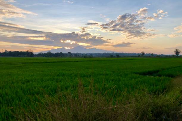 istock view of the morning sun, mountains and rice fields 2160926862