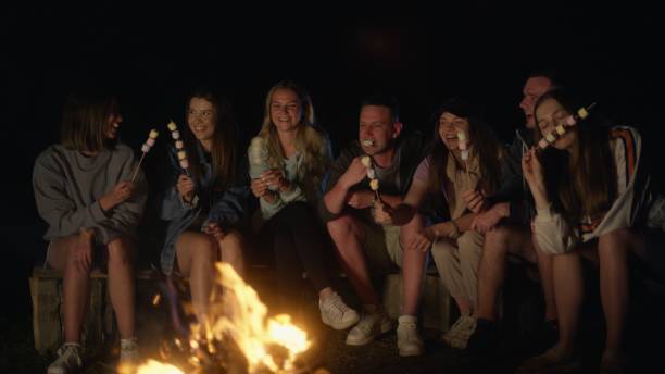 istock Group of Friends Roasting Marshmallows Over a Campfire at Night 2160938976