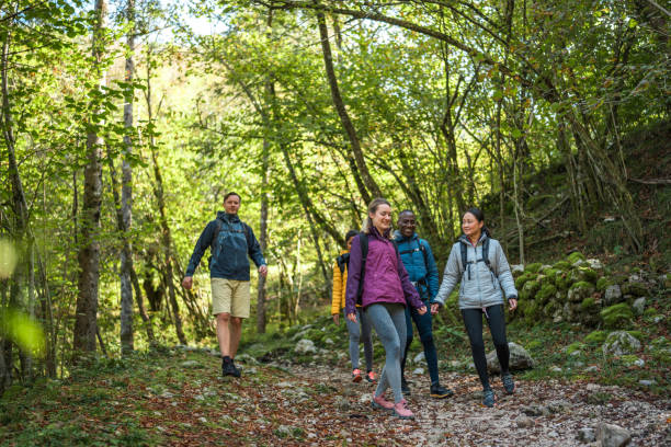 istock Diverse Group of Friends on Forest Hike 2160940378