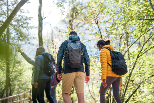 istock Diverse Group of Friends on Forest Hike 2160940388