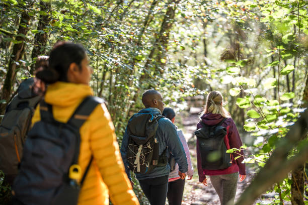 istock Group of Diverse Friends on a Forest Hike 2160940400