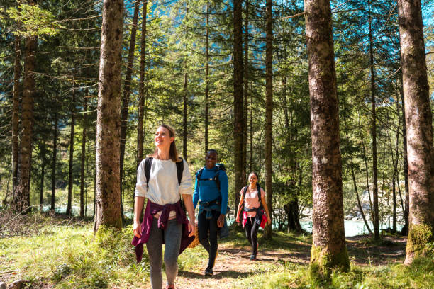 A diverse group of friends, including a Caucasian female, a Black male, and a Mixed race female, enjoy a sunny day outdoors hiking through a forest.