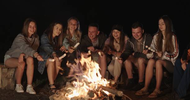 istock Warm Nights and Campfire Lights: Friends Sharing Laughter and Marshmallows 2160940541