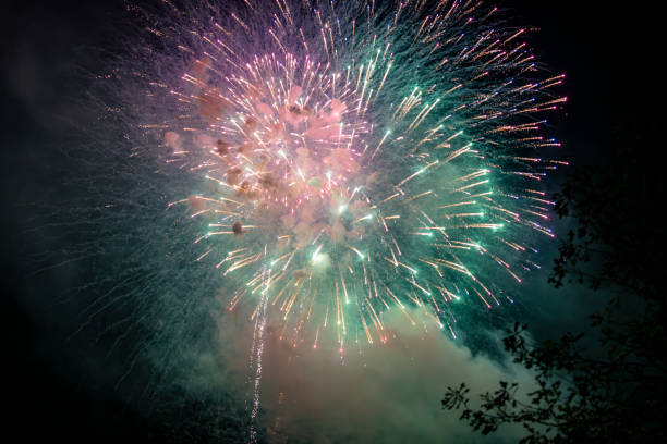istock Fireworks in the night sky 2160953639