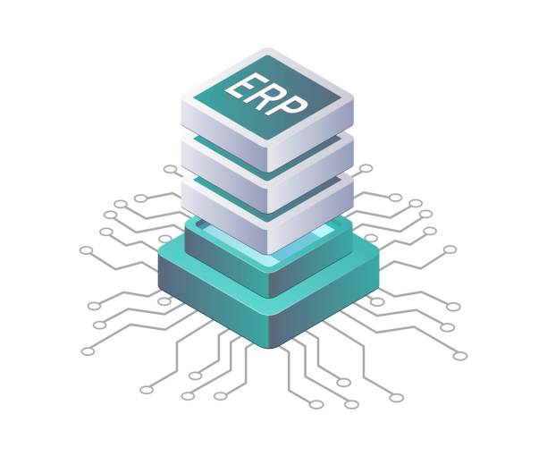 illustrazioni stock, clip art, cartoni animati e icone di tendenza di soluzioni erp database server per la crescita aziendale - linfa