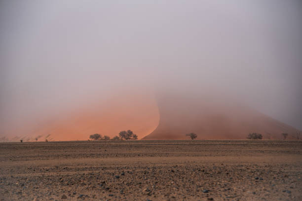 Sossusvlei in the Namib Desert