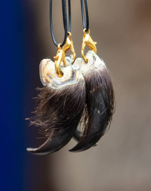 Pendant with animal claws. Close-up
