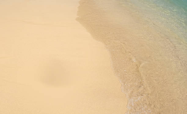 istock White sand on the seashore as a background 2160972327