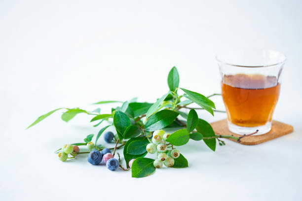 istock barley tea and blueberry twig with white background. 2160972335
