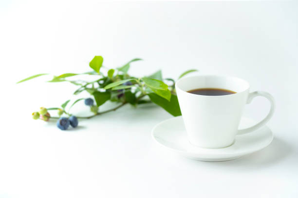 coffee and blueberry twig with white background.