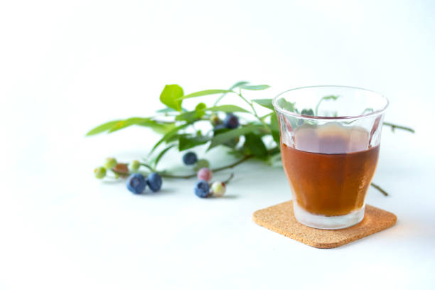 barley tea and blueberry twig with white background.