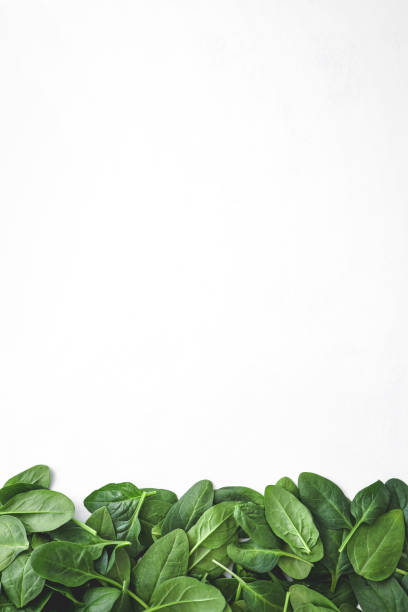 istock Pile of spinach leaves close-up on a white background 2160972932