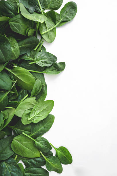 istock Pile of spinach leaves close-up on a white background 2160972934