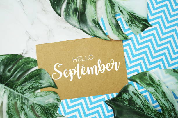 istock Hello September typography text on paper card with Monstera leaves 2160973486