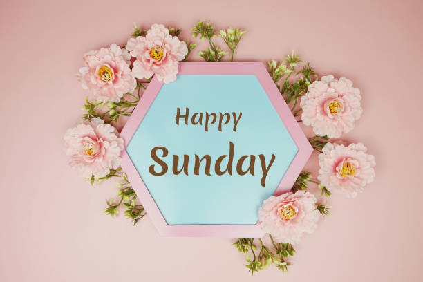 istock Happy Sunday typography text decorate with flower on pink background 2160973626