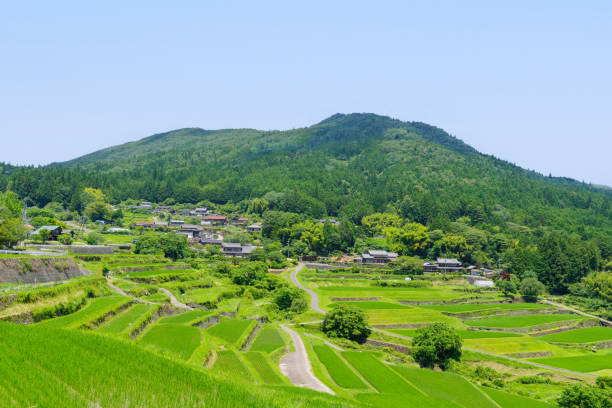 istock Sakaori rice terraces in summer (Ena City, Gifu Prefecture) 2160974435