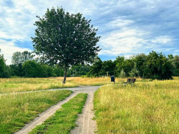 istock A park in Staaken (district of Spandau, Berlin) 2160975967